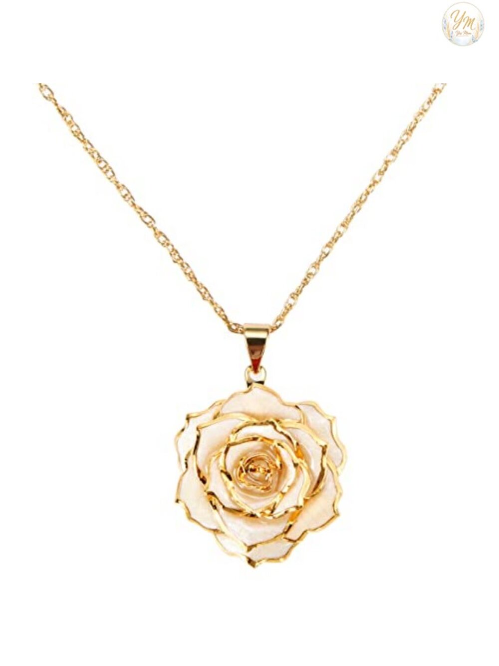 24K Gold Plated Real Rose Pendant Necklace for Women Gift